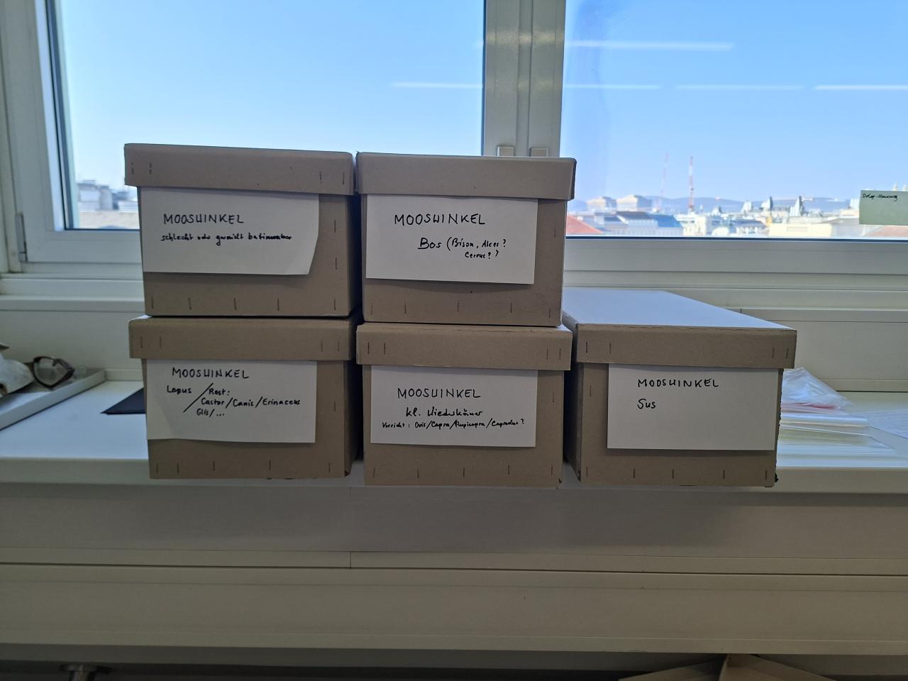 Schachteln mit Material Mooswinkel 