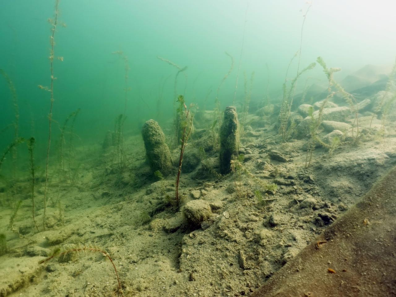Die Siedlungsreste liegen teilweise sehr exponiert im flachen Wasser.