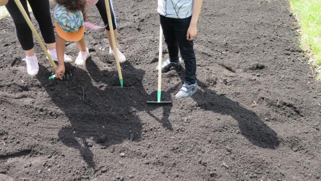 Man sieht die Beine von mehreren Personen, die auf einem vorbereiteten Beet stehen