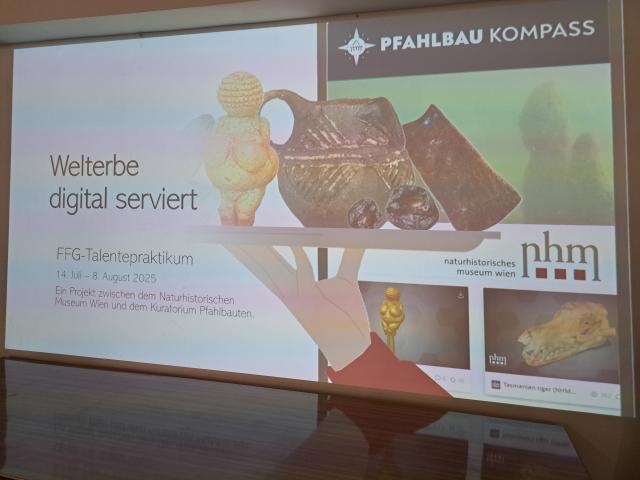 Präsentation zum FFG Praktikum