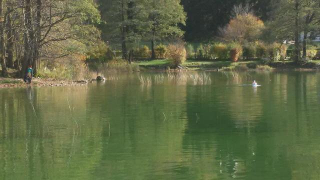 2 Personen am Ufer des Mondsees beobachten die Tauchboje eines Kollegen