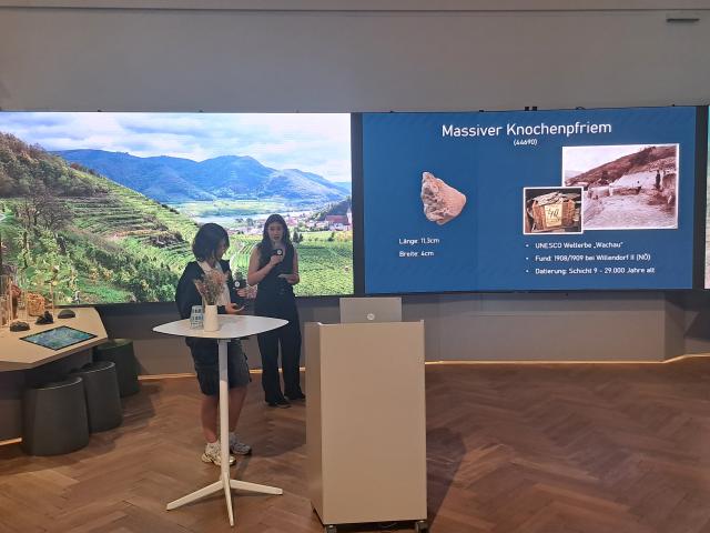 Antonia Bacher Präsentation im Deck50