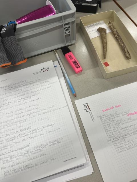 Arbeitsunterlagen im NHM