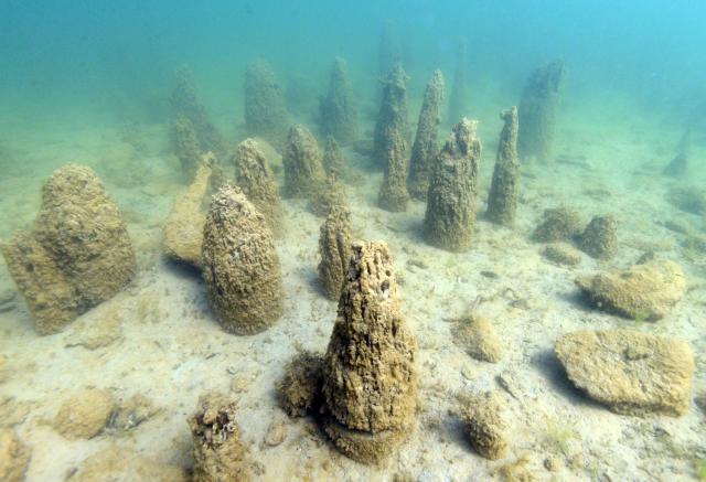 Pfähle unter Wasser am Seegrund