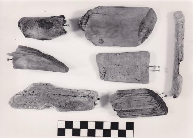 Bild mit verschiedenen Holzproben