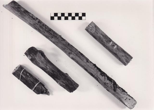 Bild mit verschiedenen Holzproben