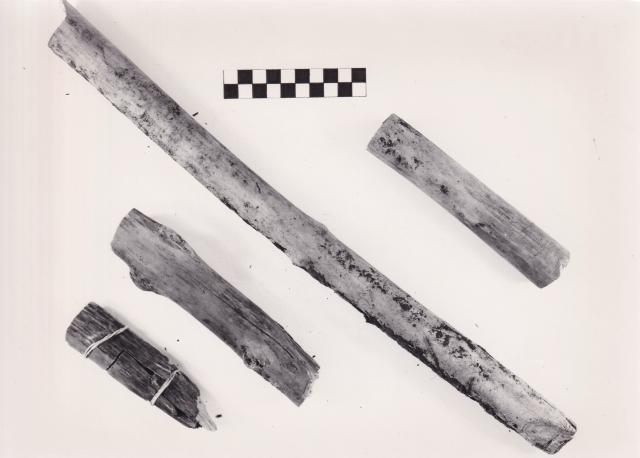 Bild mit verschiedenen Holzproben