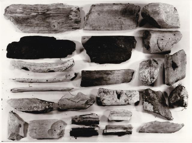 Bild mit verschiedenen Holzproben