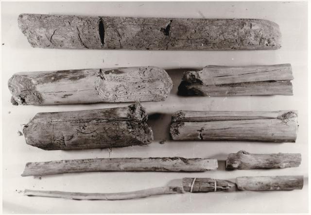 Bild mit verschiedenen Holzproben