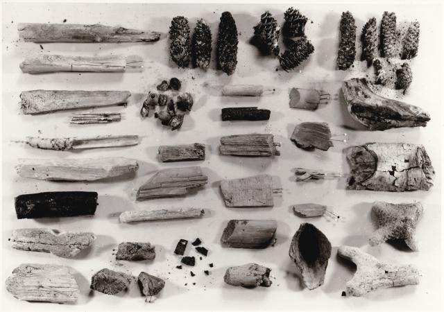 Bild mit verschiedenen Holzproben