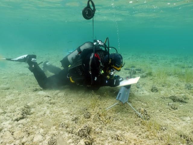 Forschungstaucher unter Wasser