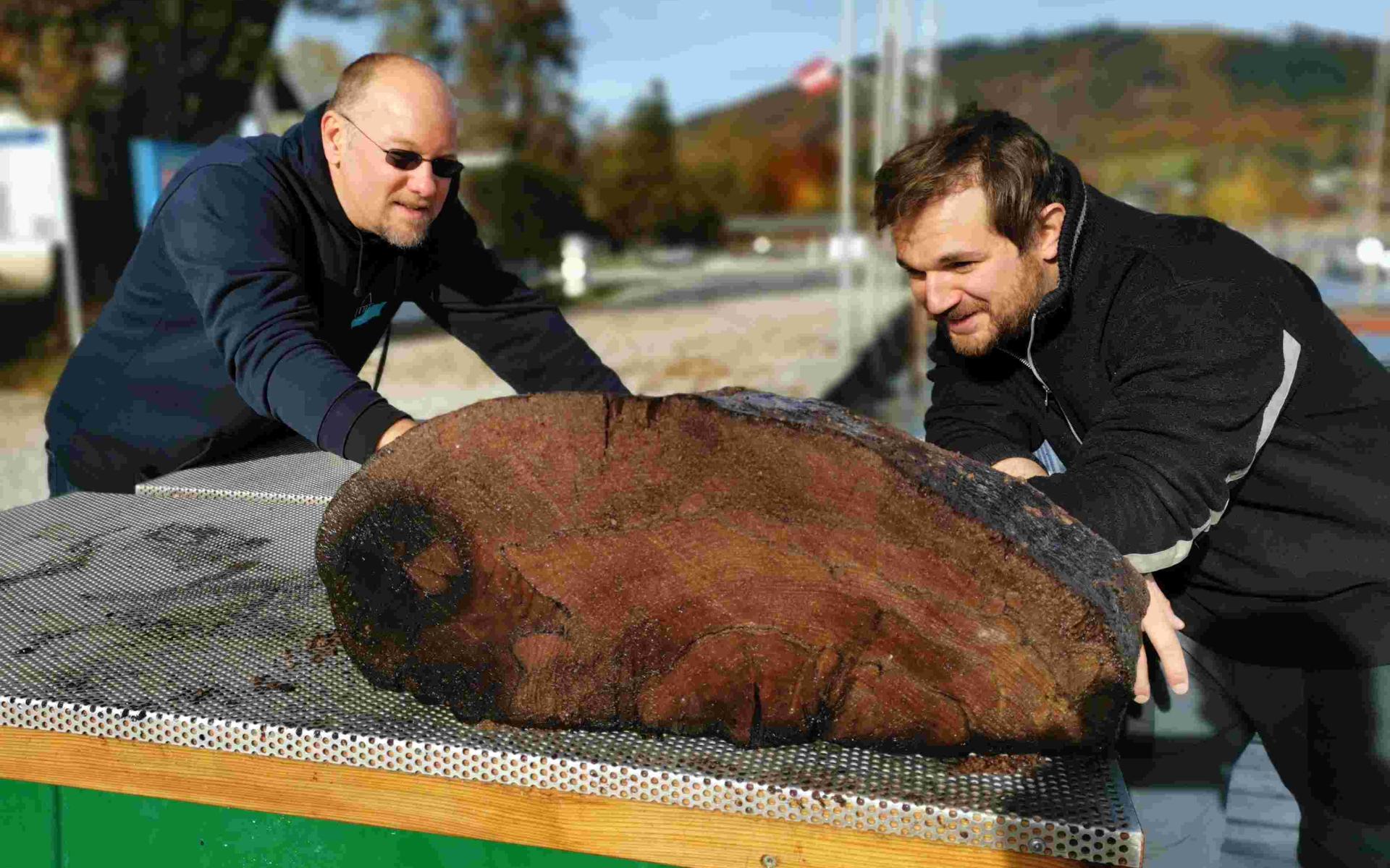 Probe des Hauptbalkens für weitere Untersuchungen 