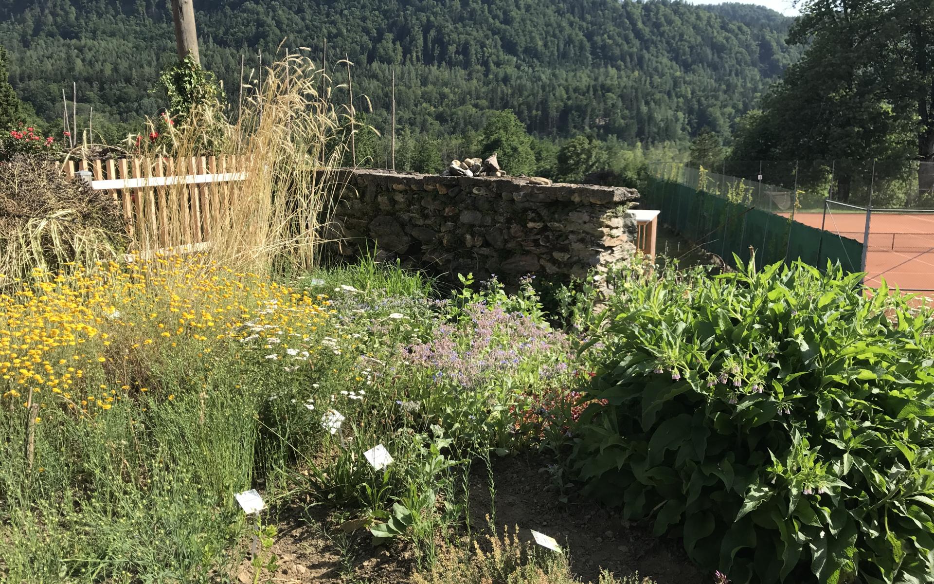 Steinzeitgarten