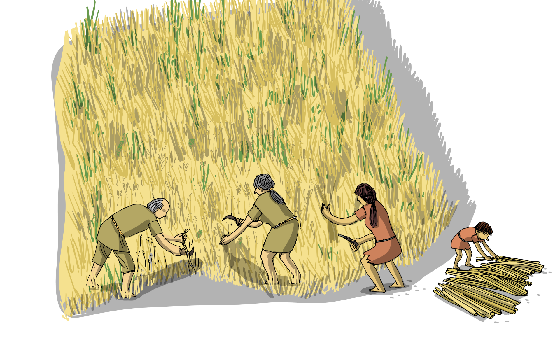 Illustration Ackerbau