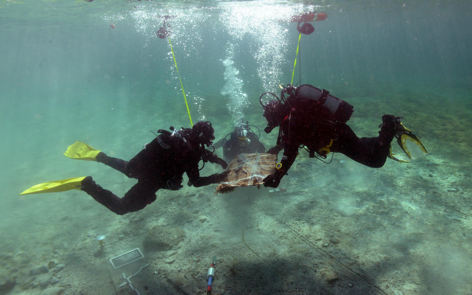 Vorsichtig müssen die Tausende Jahre alten Hölzer aus dem Seeboden gehoben werden.
