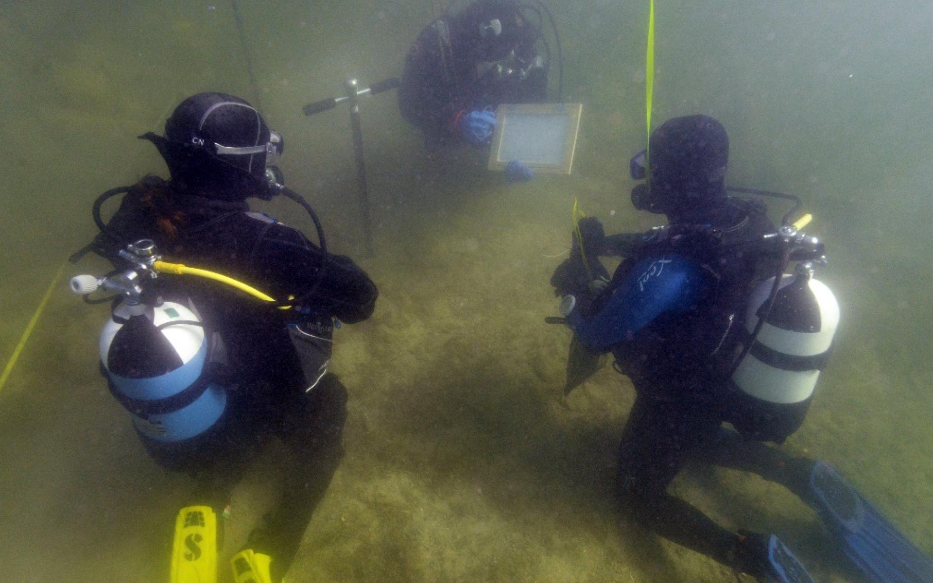 3 Taucher unter Wasser