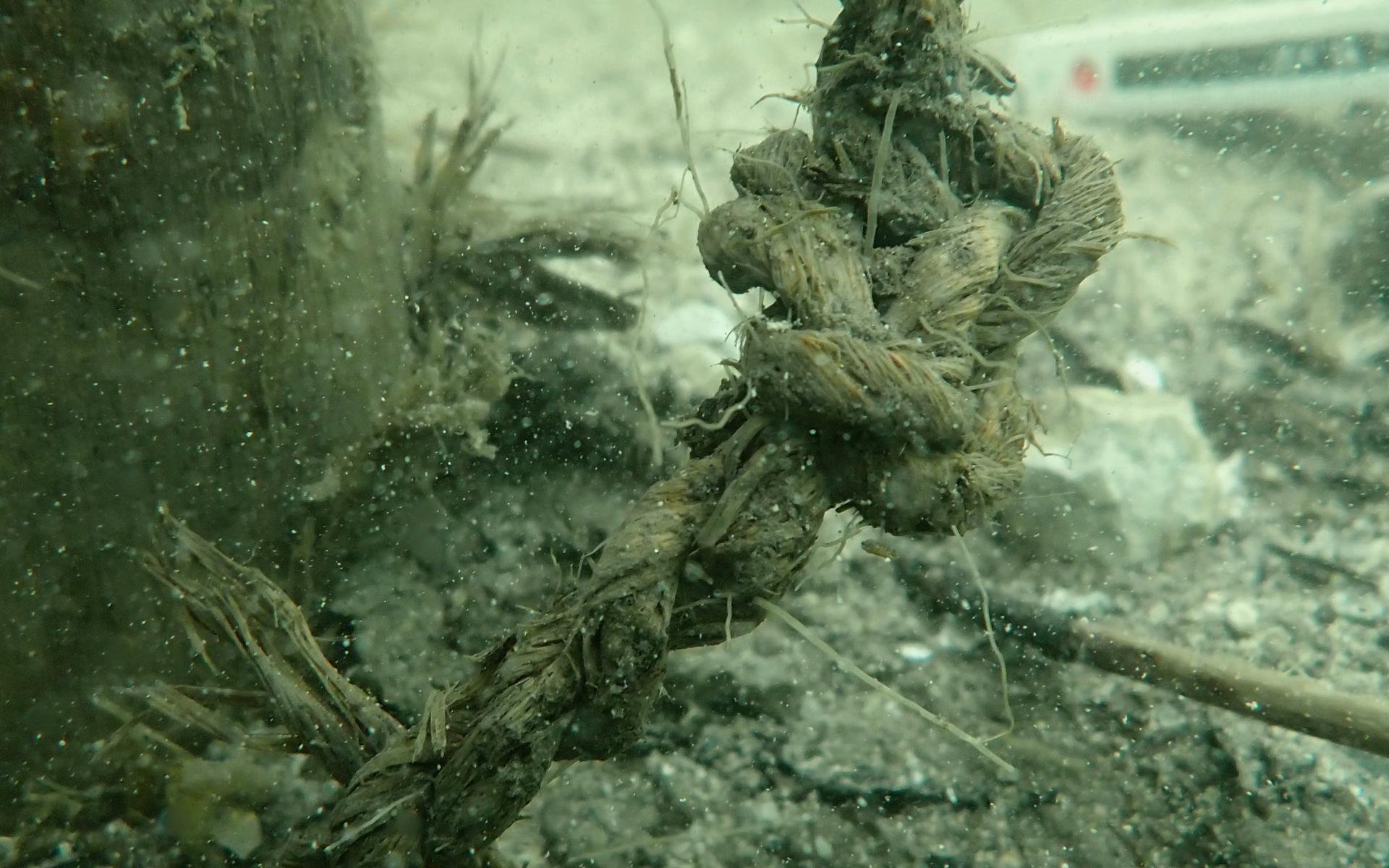 Ein Stück Bastschnur unter Wasser, in der sich ein Knoten befindet