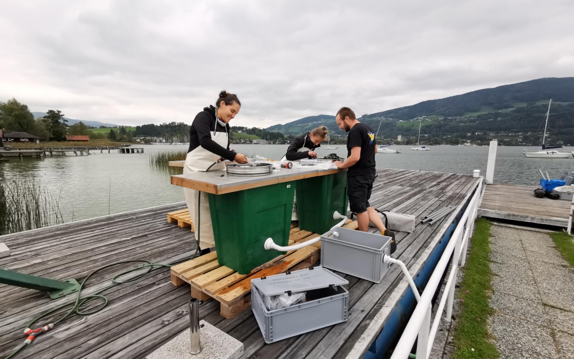 3 Personen arbeiten auf einem Steg an der Schlämmstation
