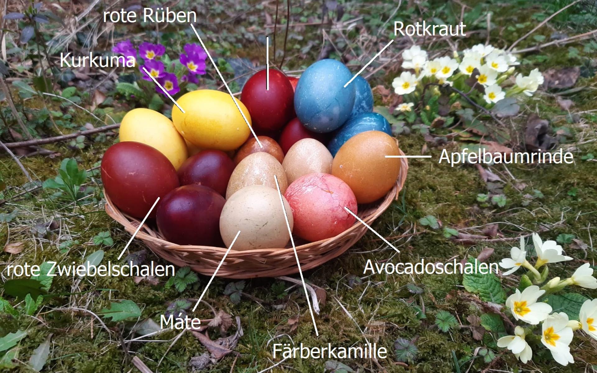 Verschiedene, bunte Eier, die mit Naturmaterial gefärbt wurden in einem Körbchen