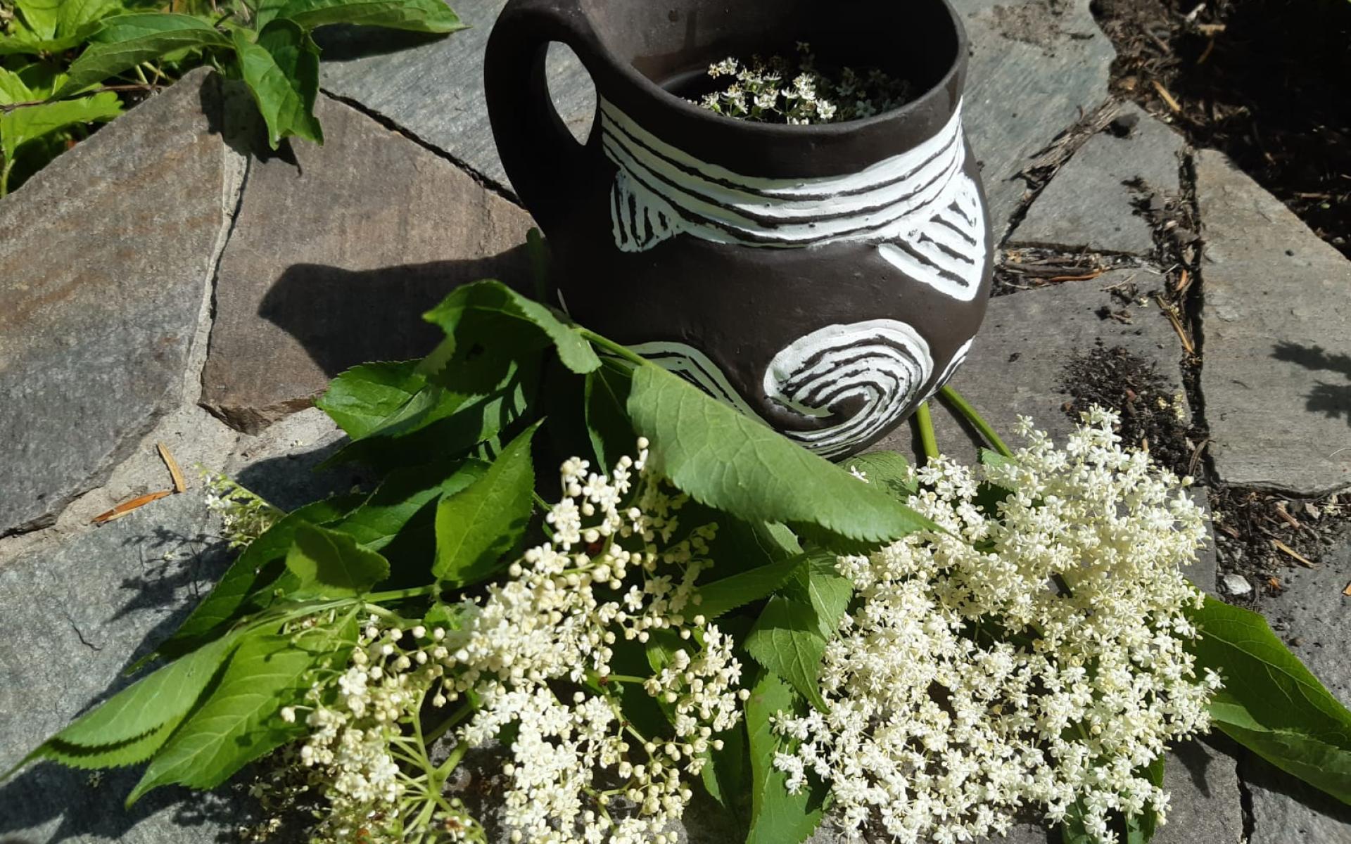Ein urgeschichtlicher Becher mit Holunderblüten im Vordergrund