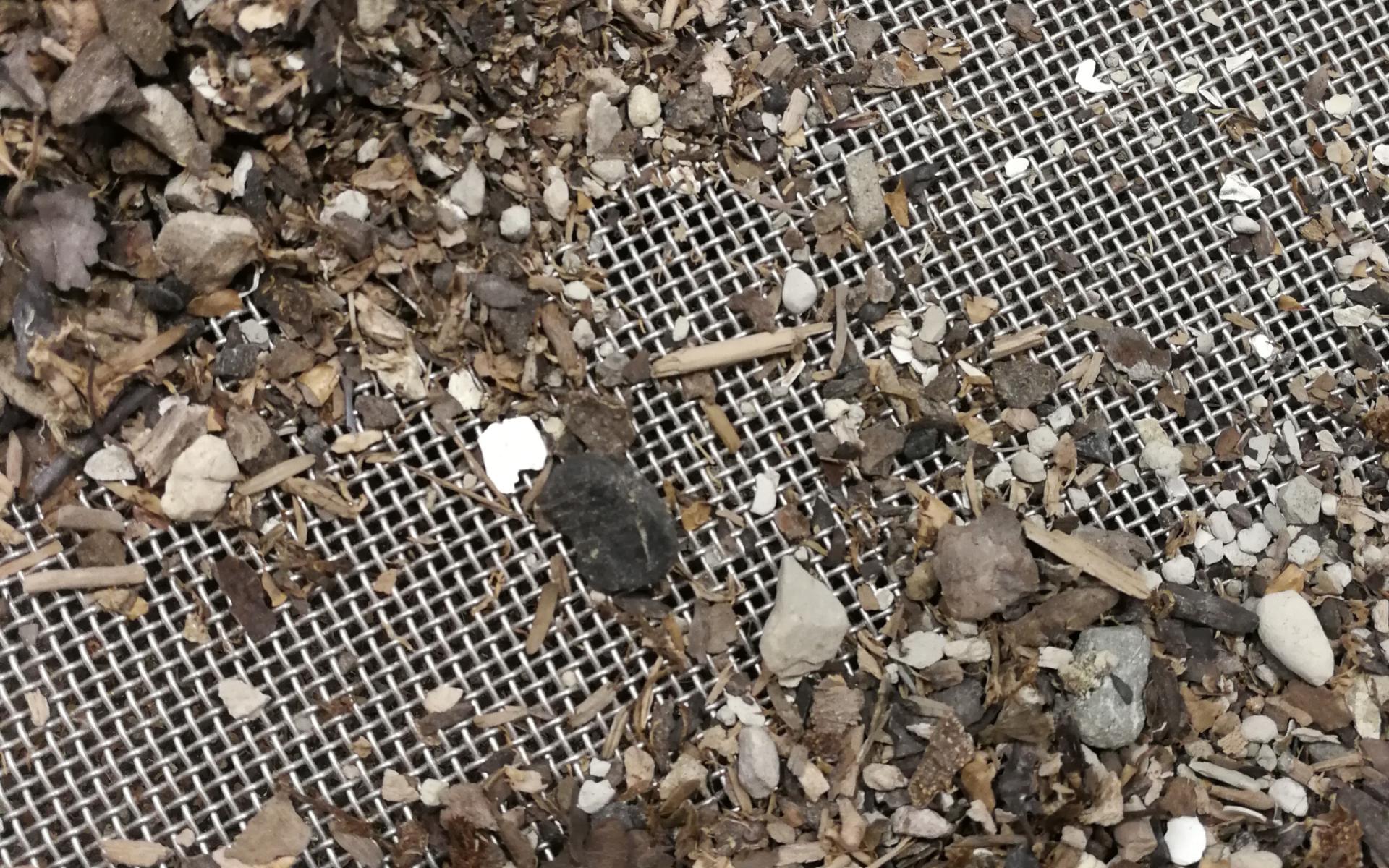 Ein Sieb mit gefriergetrocknetem Sediment