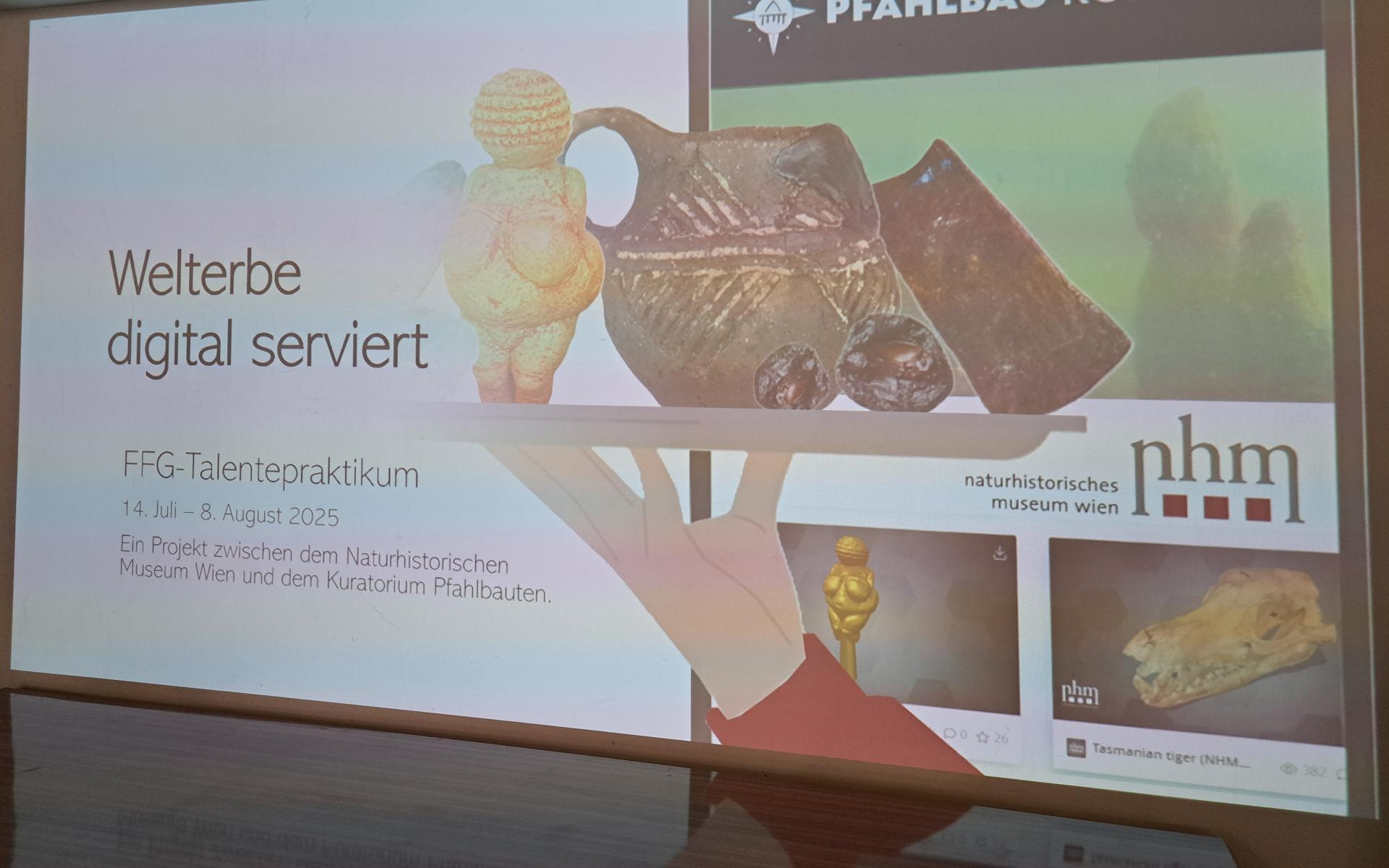 Präsentation zum FFG Praktikum