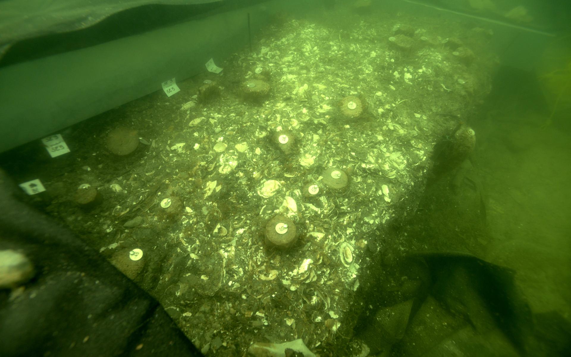 Ein Grabungsschnitt unter Wasser mit verschiedenen markierten Funden