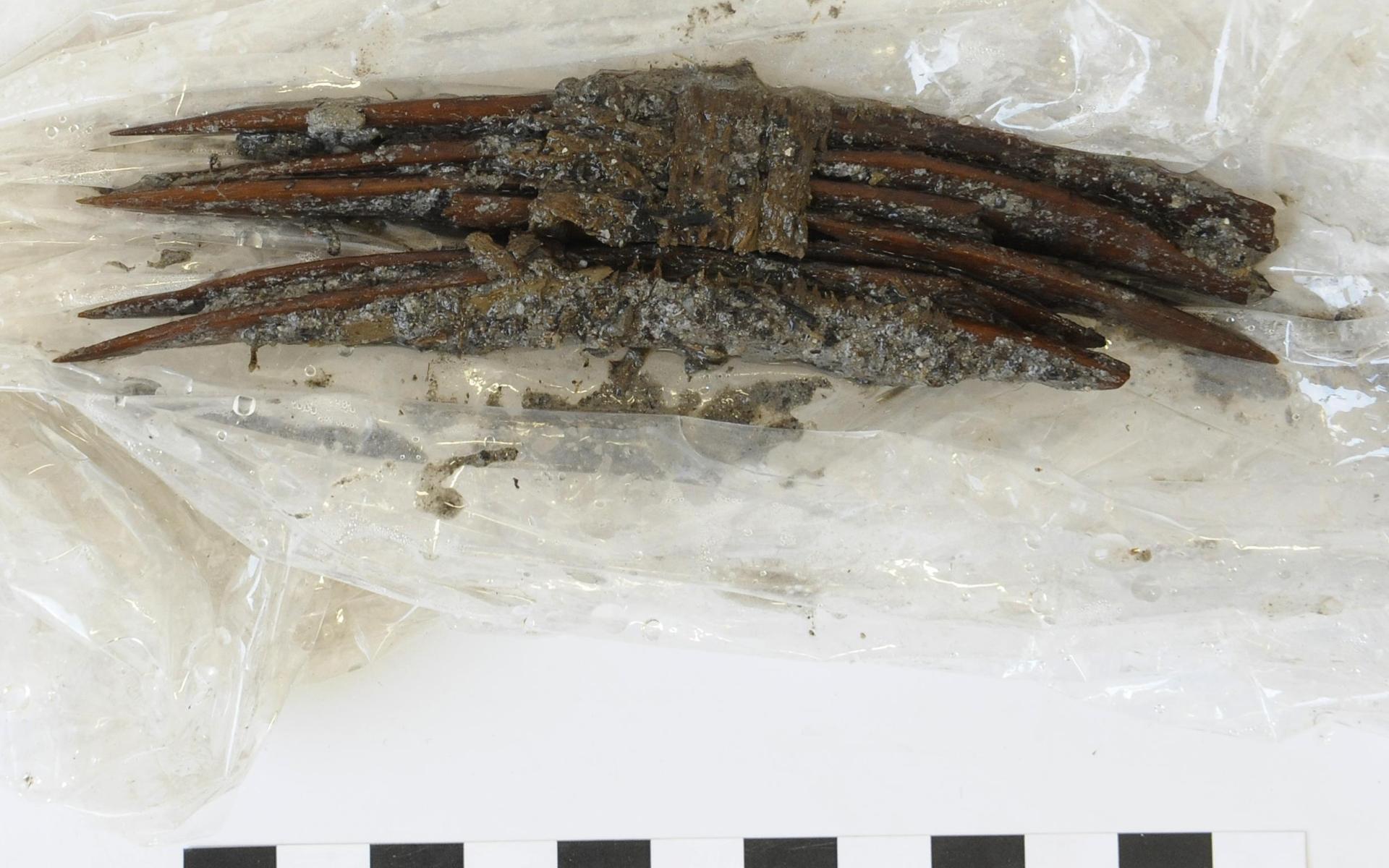 Grabungsfrische Hechel aus angespitzten Rippen
