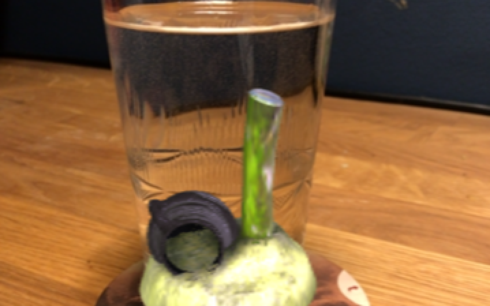 Ein Bierdeckel mit einer Unterwasserszene, darauf steht ein Wasserglas