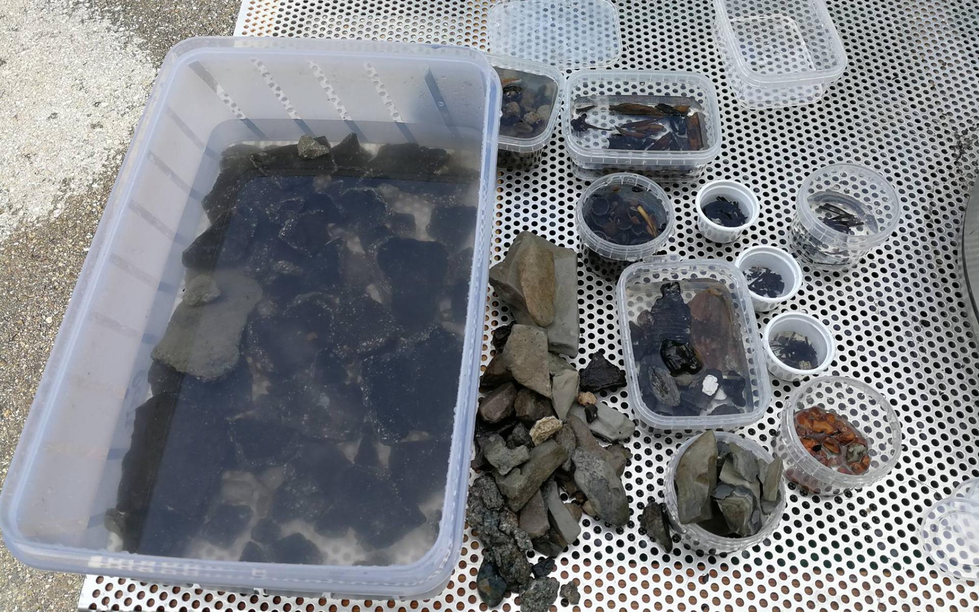 Fundmaterial in kleinen Plastikbehältnissen sortiert
