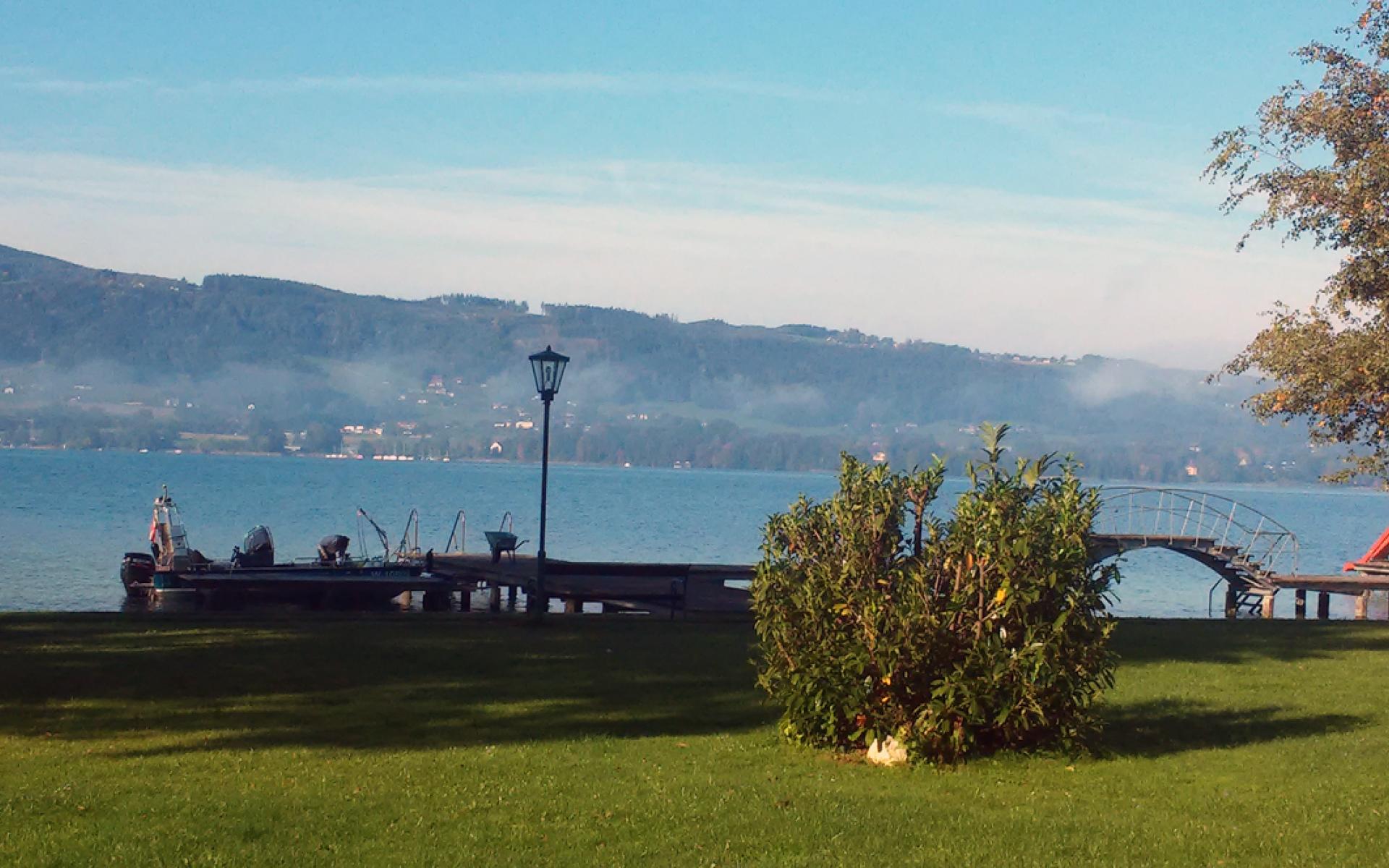 Eine Wiese mit einem Steg direkt am See, in der Ferne ist das Forschungsboot erkennbar