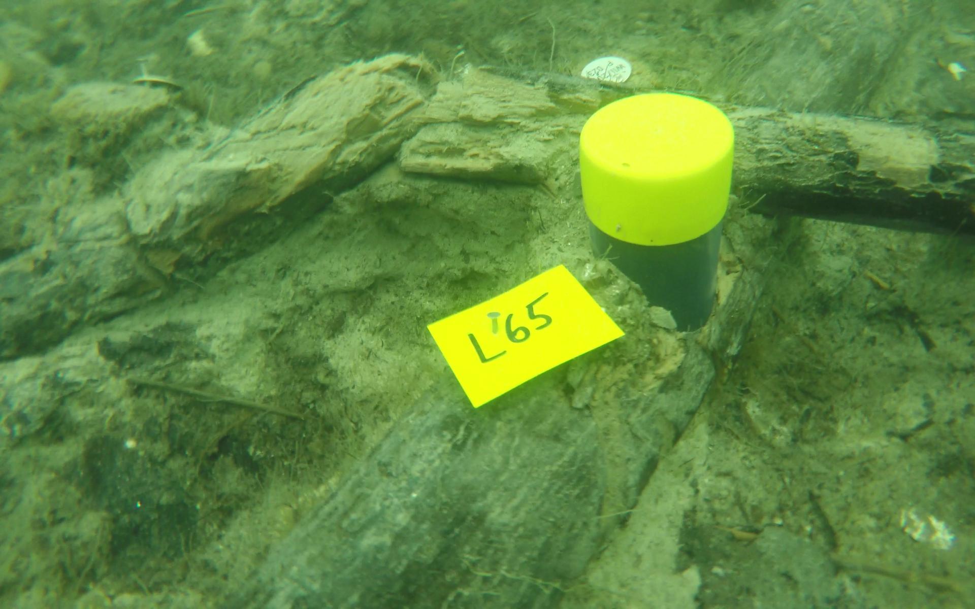 Liegende Hölzer am Seegrund mit gelben Markierungen 