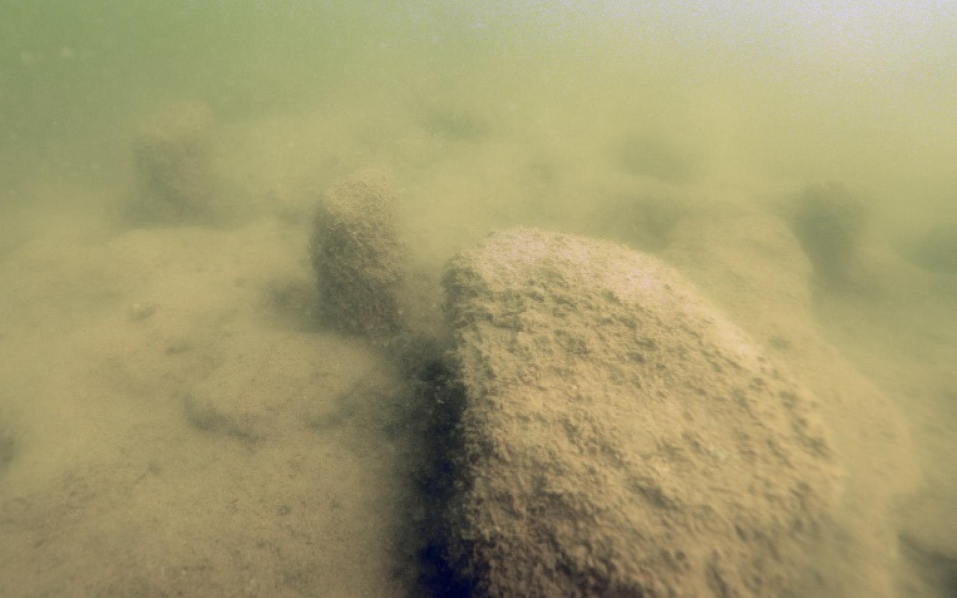 Pfahlköpfe und größere Steine auf der Kuppe im Hafner See
