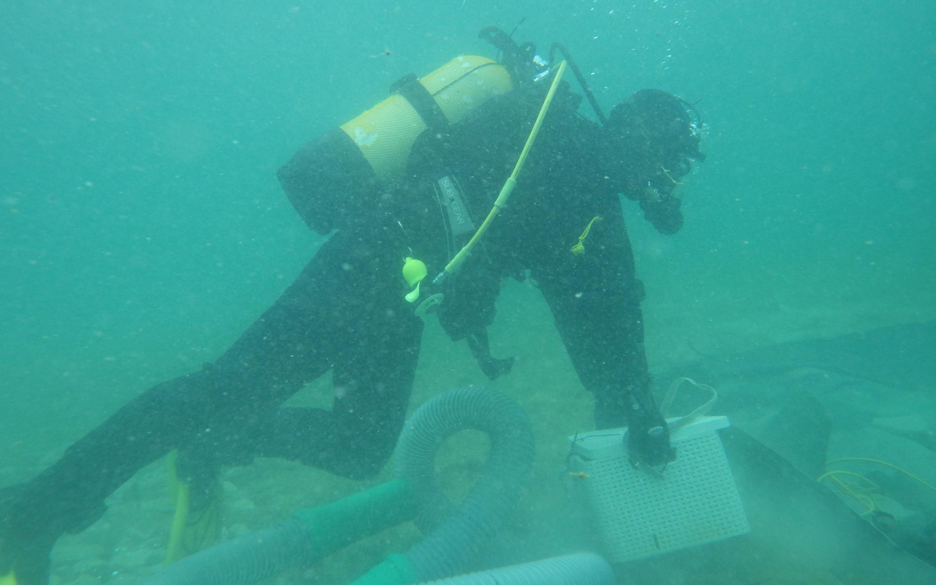 Eine Taucherin im Wasser, beim Tragen einer Plastikbox