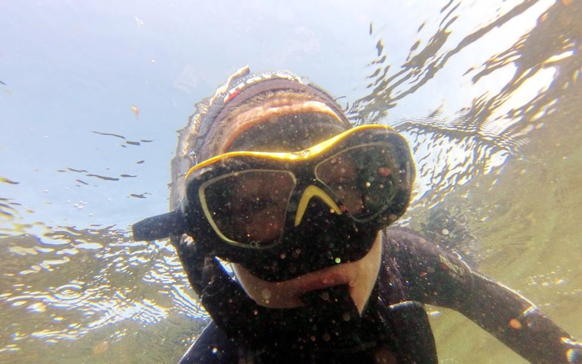 Der Kopf einer Taucherin unter Wasser