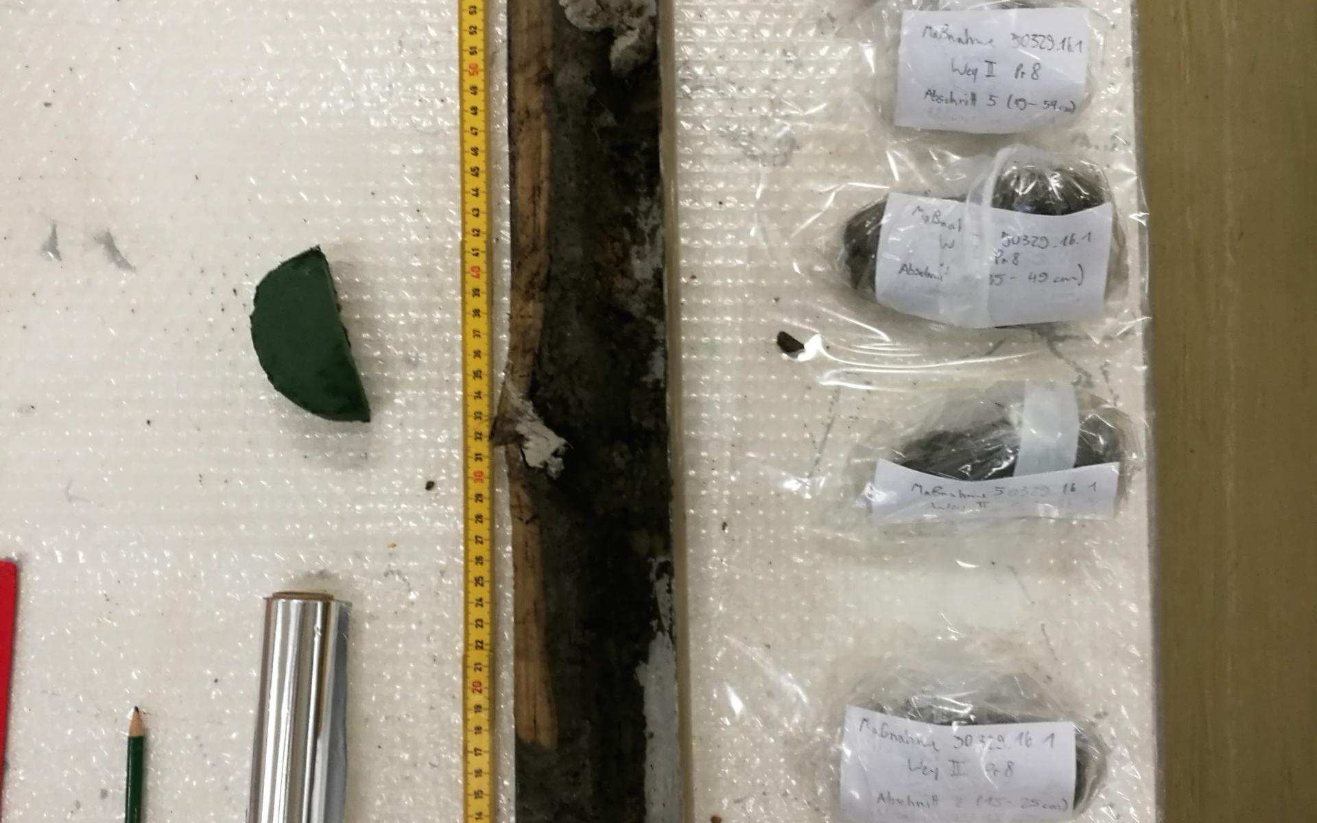 der geöffnete Bohrkern mit den Proben in Säckchen verpackt und beschriftet
