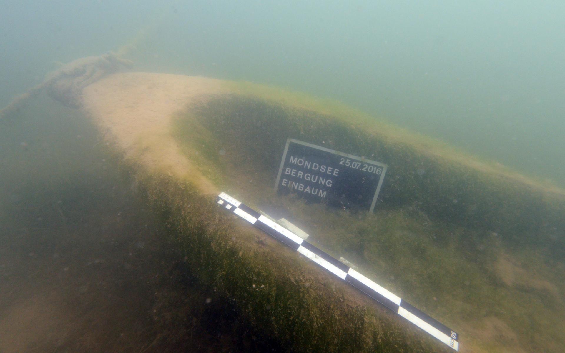 Der Bug des Einbaums unter Wasser, mit Fototafel und Maßstab