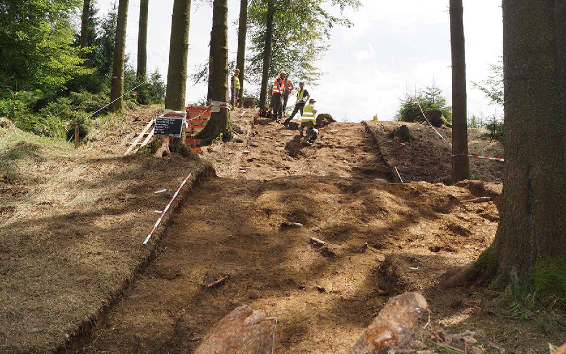 Ein langer Grabungsschnitt im Wald