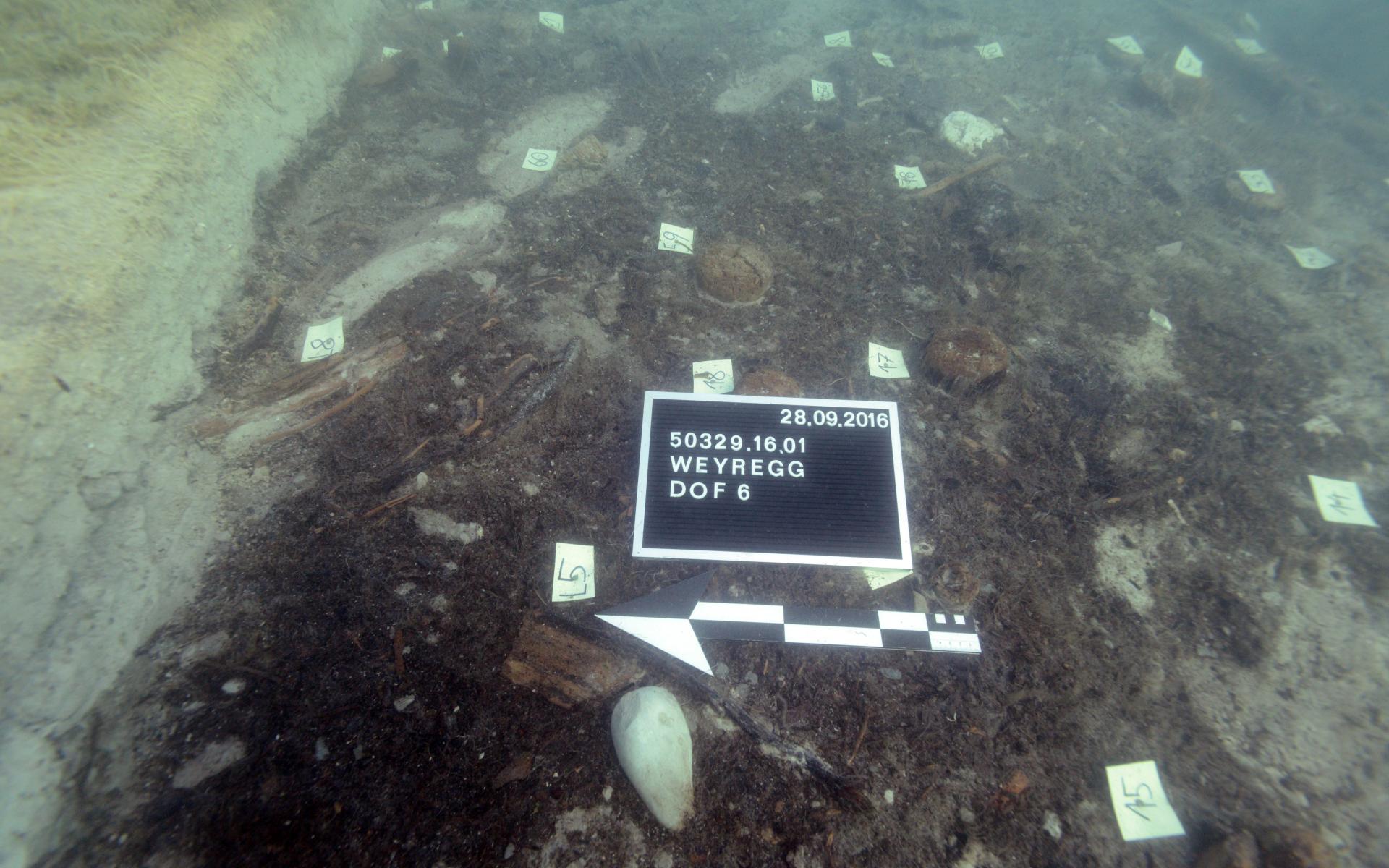 Der Unterwasserschnitt mit Markierungen, Fototafel und Maßstab