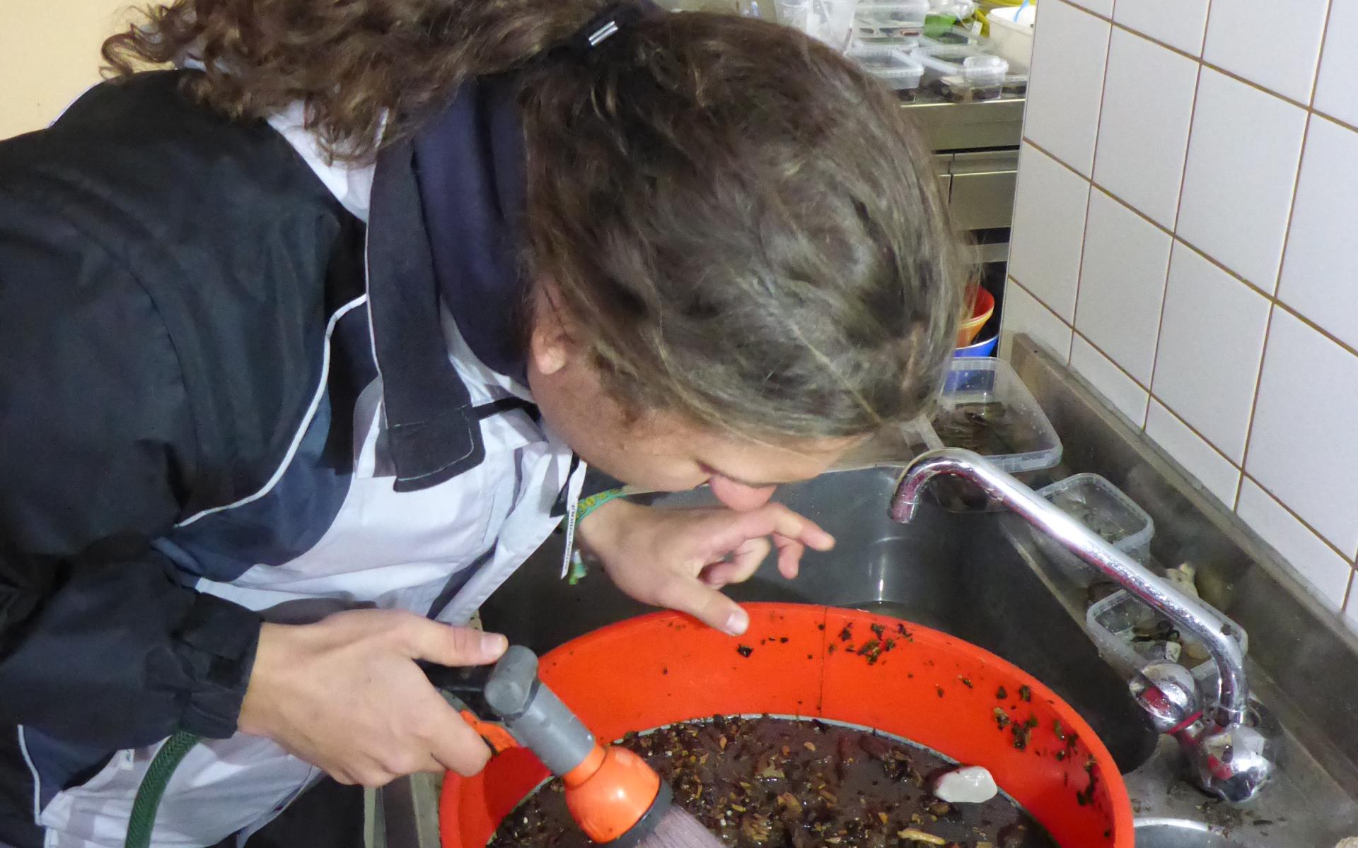 Marco gebeugt über einem roten Sieb mit einer Wasserdusche in der Hand