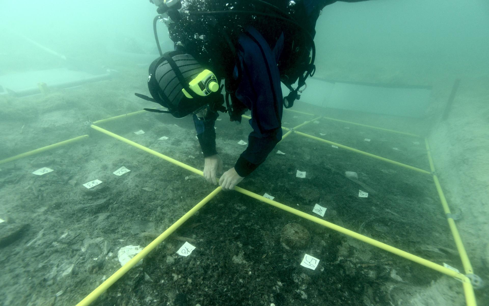 Ein Taucher steckt am Seeboden die Rahmen für die Markierung der Quadranten zusammen