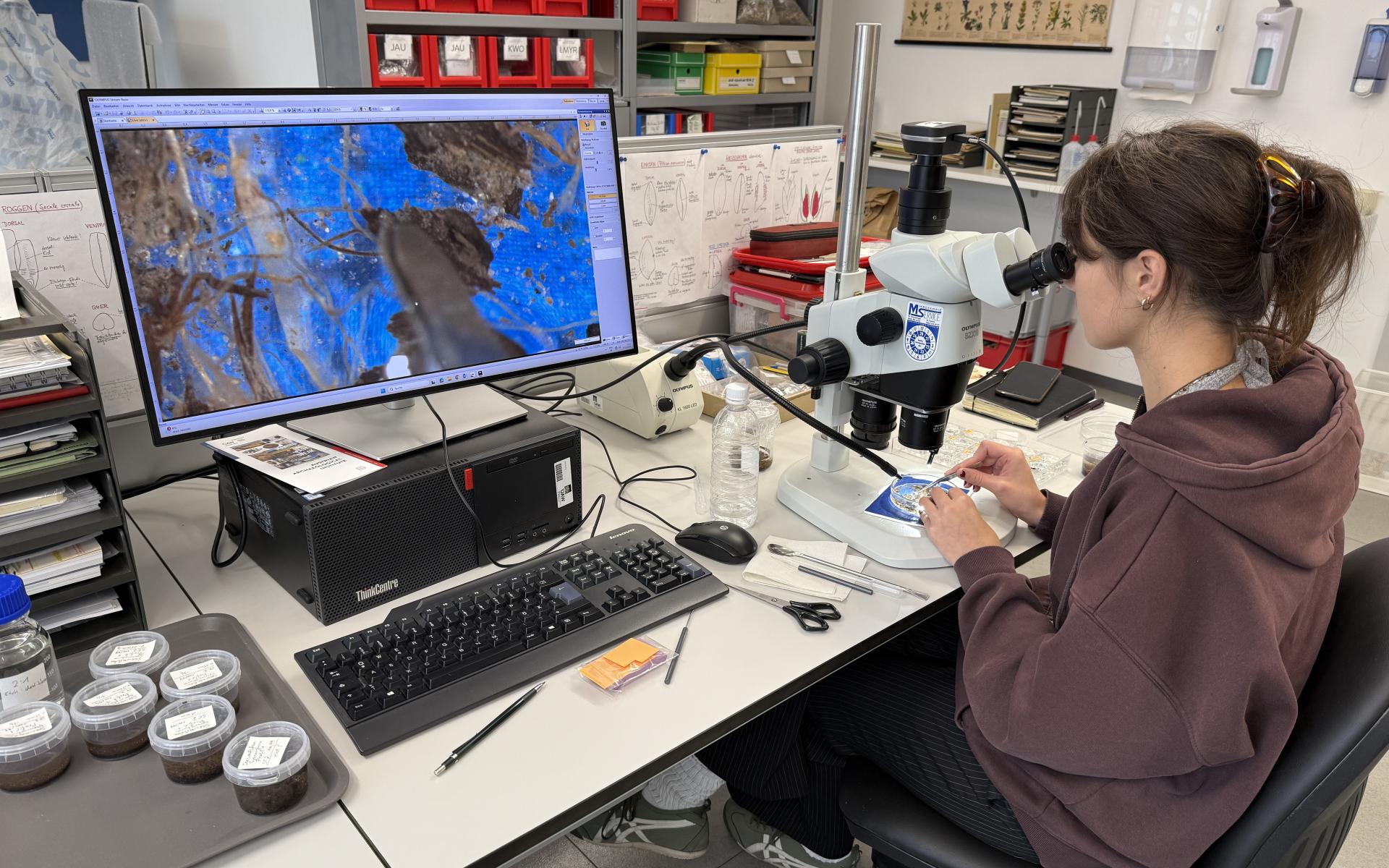 Ambra bei der Arbeit im Labor