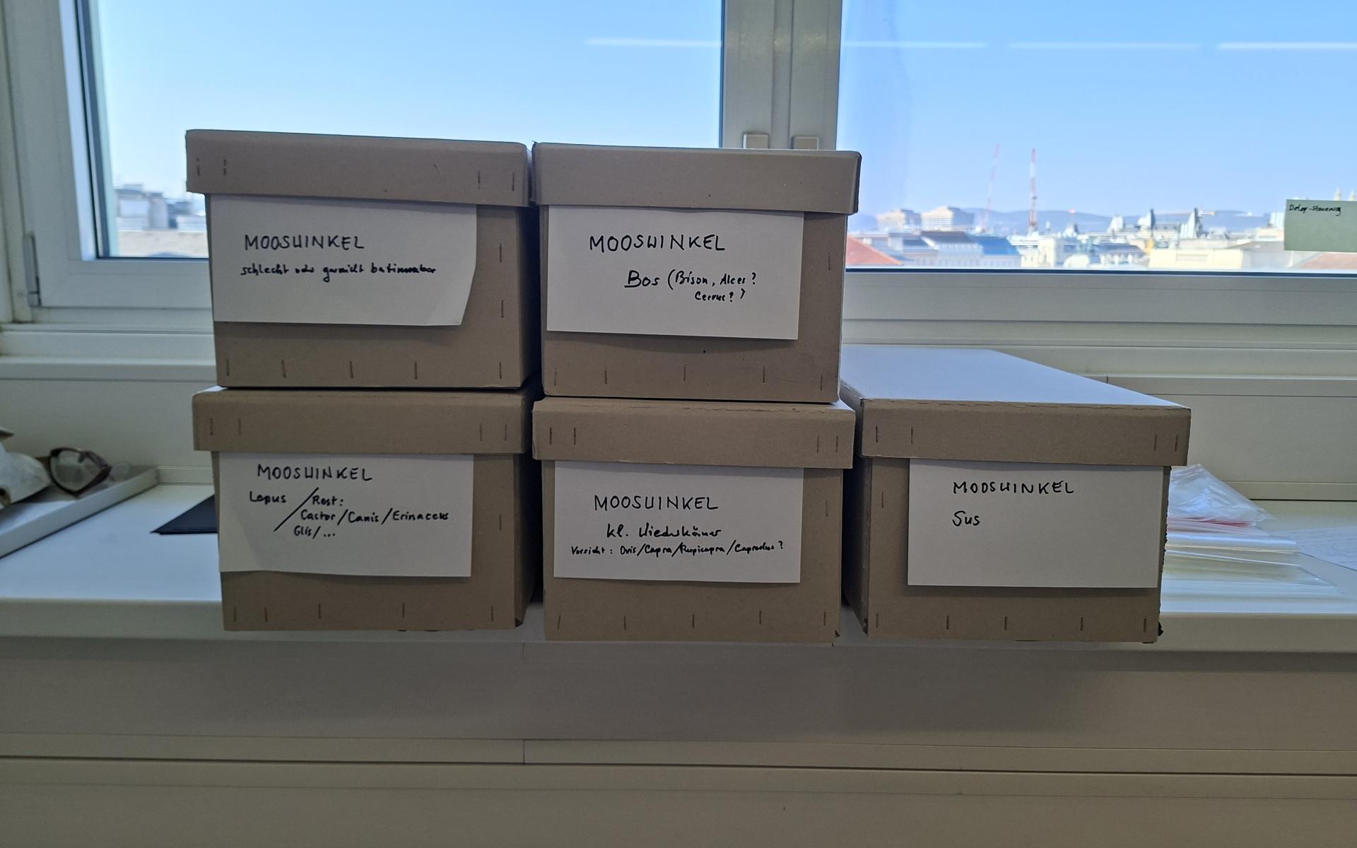 Schachteln mit Material Mooswinkel 