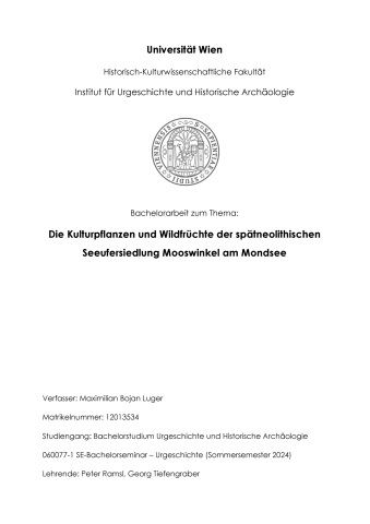 Bachelorarbeit Maximilian Luger