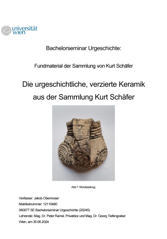 Bachelorarbeit Jakob Obermoser