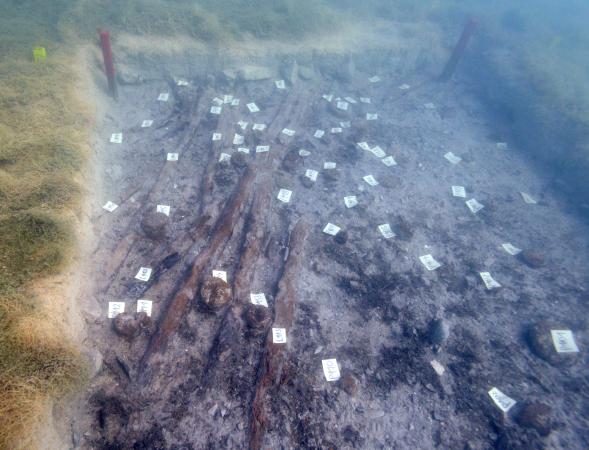 Es wurden mehrere große Bauhölzer gefunden. (Bild: Kuratorium Pfahlbauten)