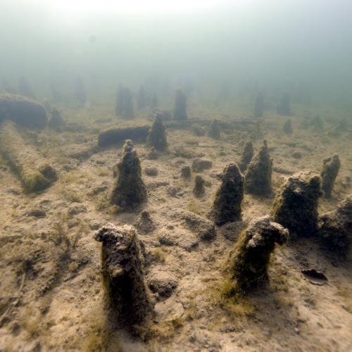 Prähistorische Pfähle unter Wasser an der Seeufersiedlung „See am Mondsee“.