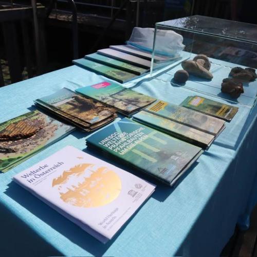 Funde und Vermittlungsmaterial