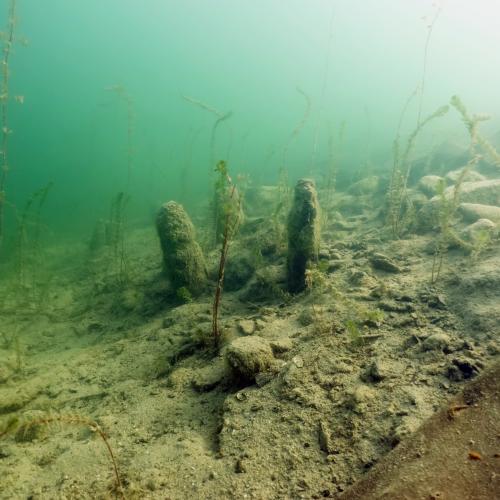 Die Siedlungsreste liegen teilweise sehr exponiert im flachen Wasser.