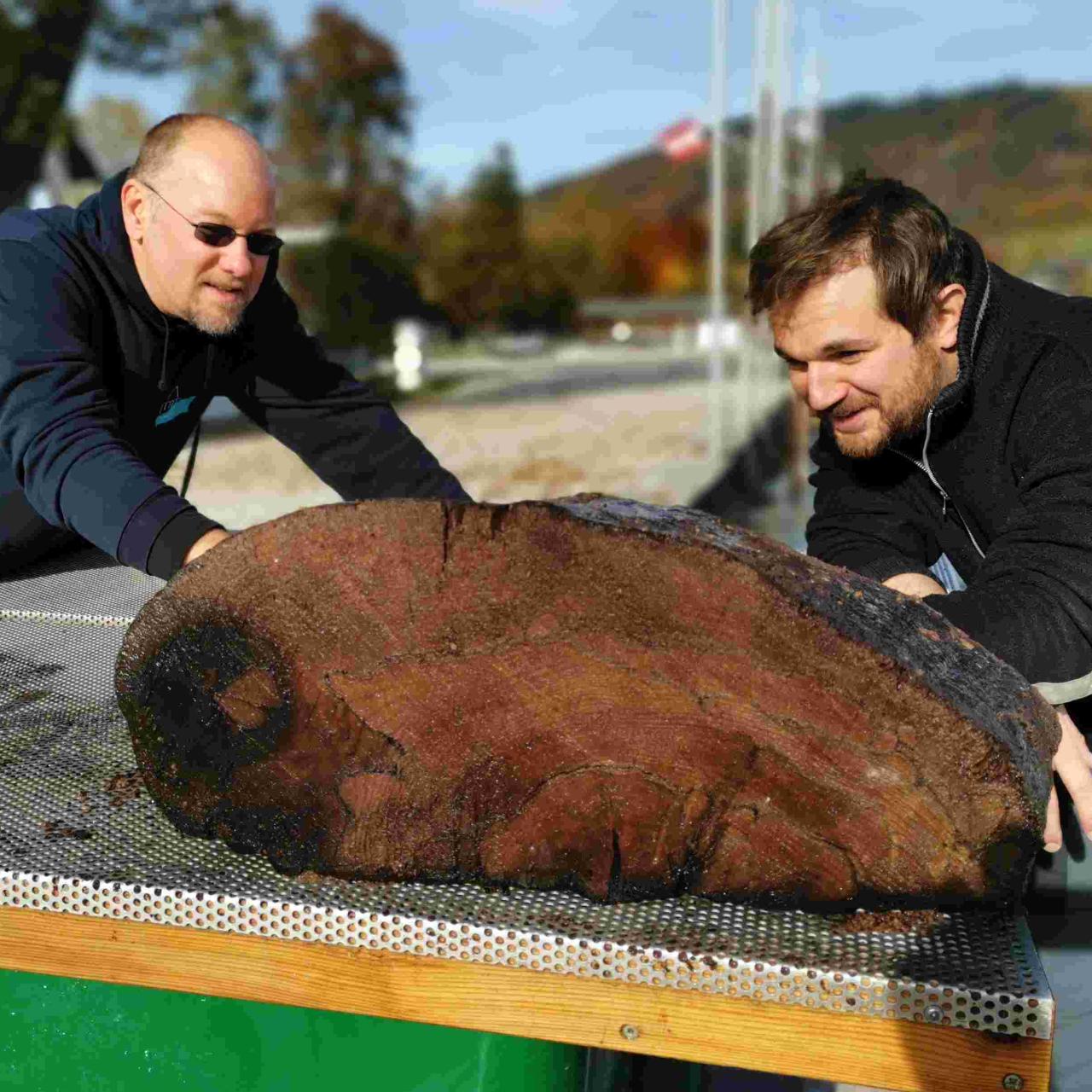 Probe des Hauptbalkens für weitere Untersuchungen 